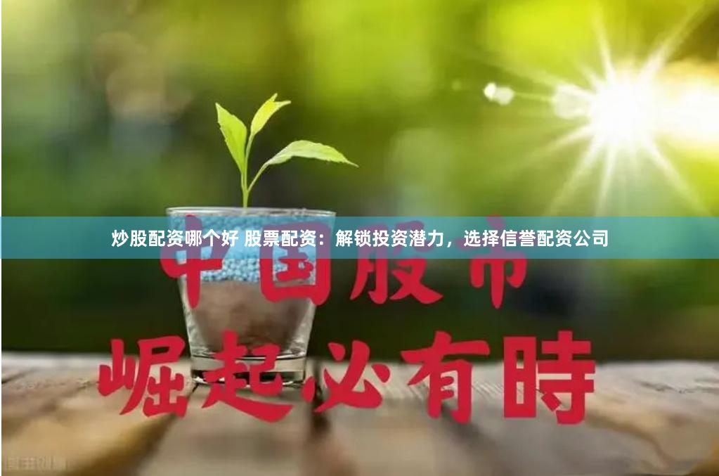 炒股配资哪个好 股票配资：解锁投资潜力，选择信誉配资公司
