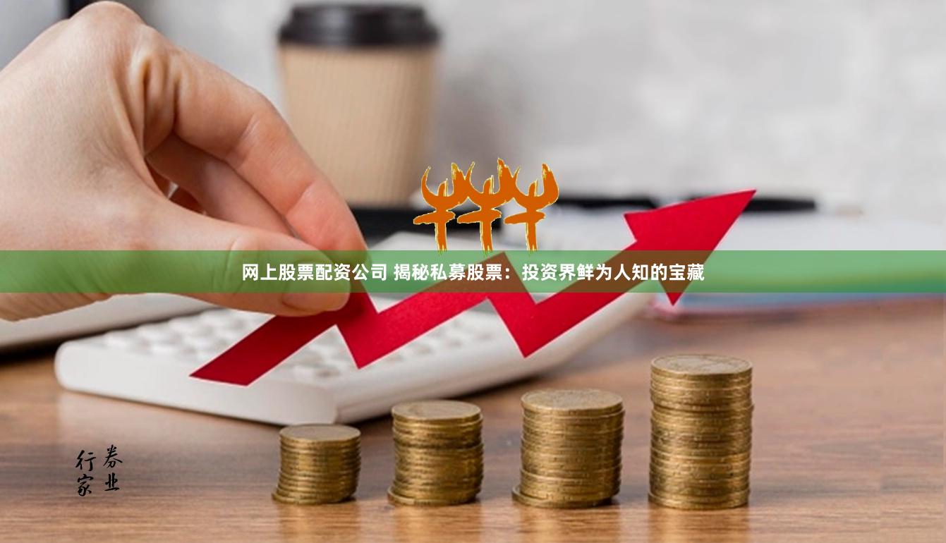 网上股票配资公司 揭秘私募股票：投资界鲜为人知的宝藏